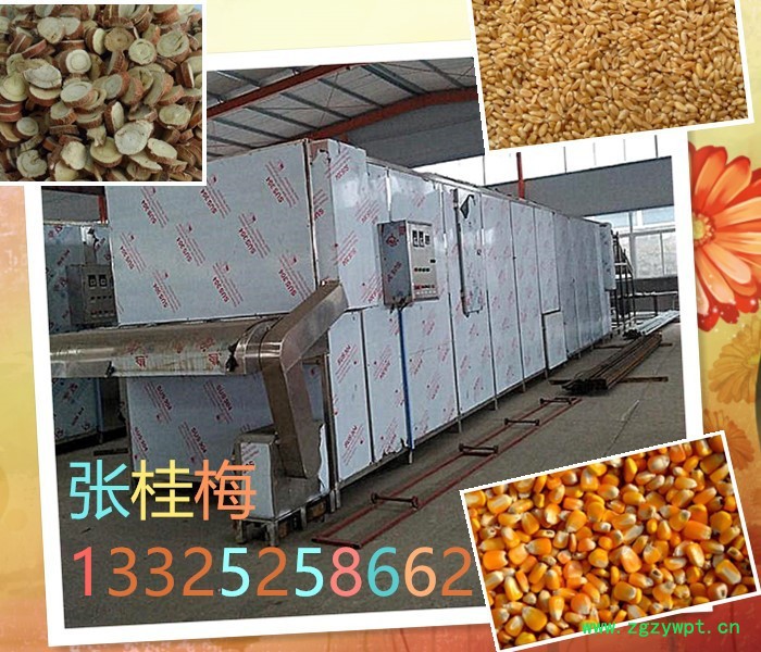 汇海多种型号 大型多层烘干机 玉米烘干机 中草药烘干机 玫瑰花烘干机图2