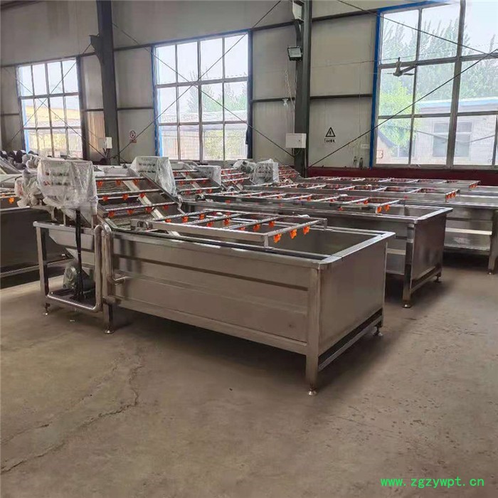 景翔牌 翻浪清洗机 药材气泡清洗机 香菇清洗加工设备图4