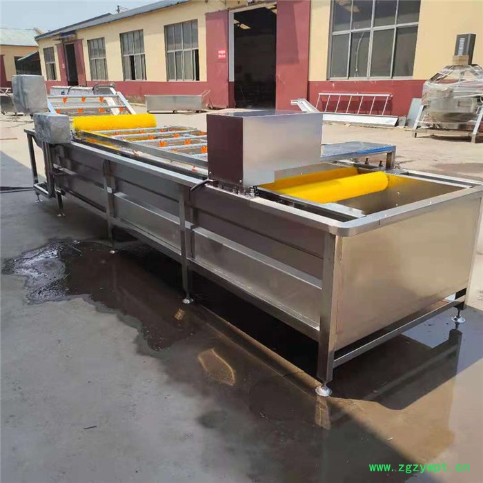 景翔牌 翻浪清洗机 药材气泡清洗机 香菇清洗加工设备图8