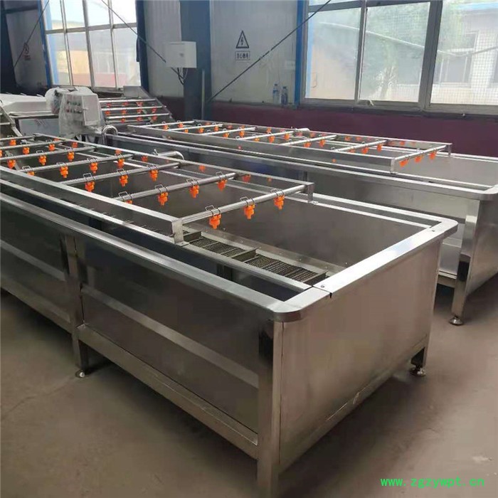 景翔牌 翻浪清洗机 药材气泡清洗机 香菇清洗加工设备图3