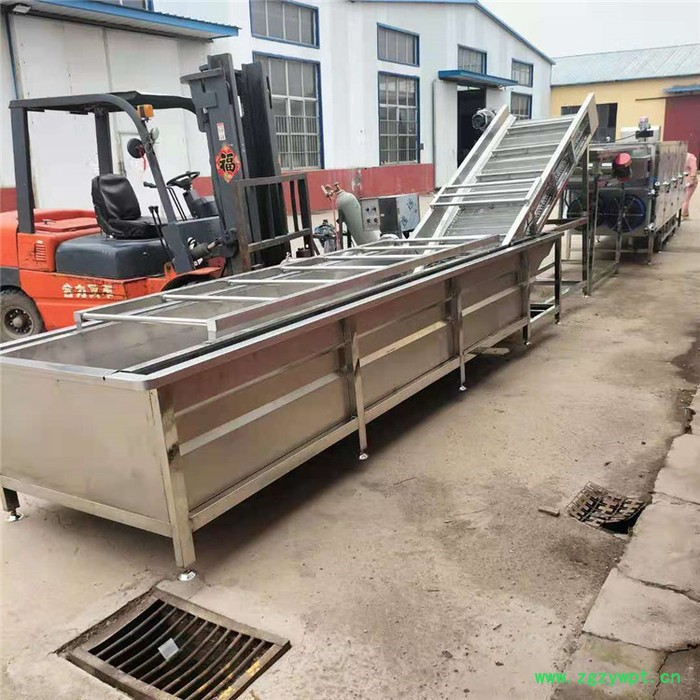 景翔牌 翻浪清洗机 药材气泡清洗机 香菇清洗加工设备图2