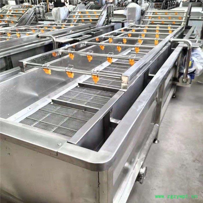 景翔牌 翻浪清洗机 药材气泡清洗机 香菇清洗加工设备图5