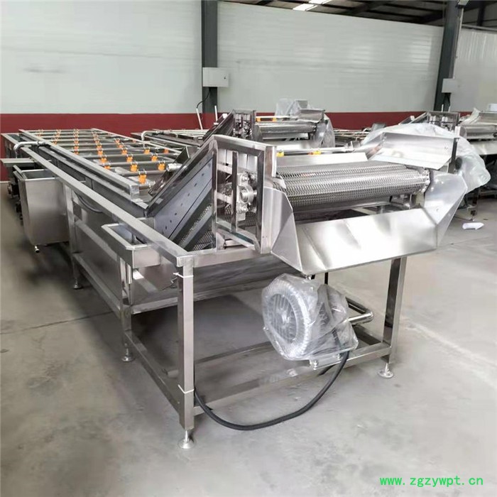 景翔牌 翻浪清洗机 药材气泡清洗机 香菇清洗加工设备图6