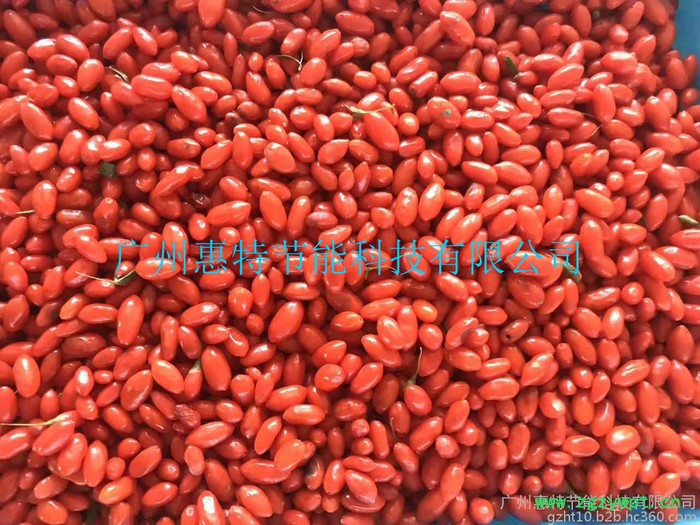 惠特FT-HGJ06 中药材烘干机烘干设备厂家 枸杞烘干机 金银花烘干机 山药烘干机图3