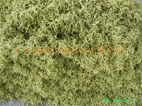 惠特ZT-HGJ10 金银花烘干机烘干设备厂家 菊花烘干机 桔梗芯烘干机 中药材烘干机图3