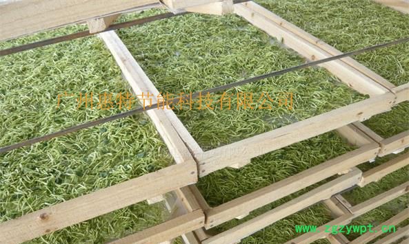 惠特ZT-HGJ10 金银花烘干机烘干设备厂家 菊花烘干机 桔梗芯烘干机 中药材烘干机图2