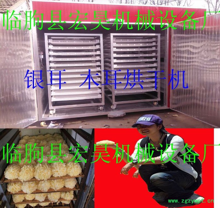 宏昊HH-600无硫菊烘干机 菊花烘干机杭白菊烘干箱中药材烘干设备价格烘干质量好 无疏菊烘干机图5