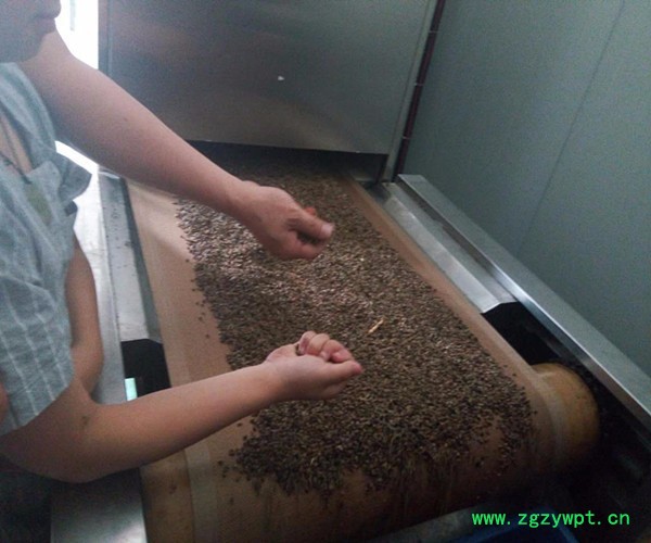 供应15kw越弘微波药材烘干机价格有限公司图2