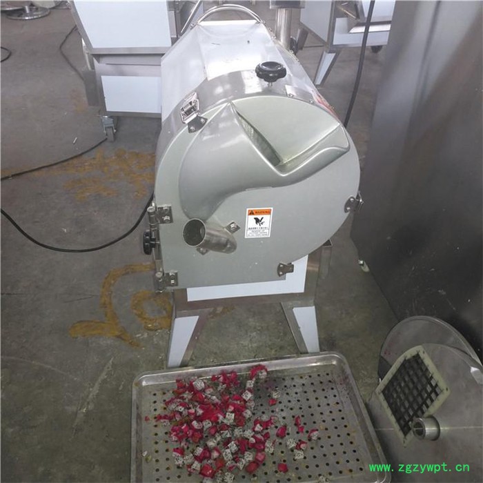 芋头红薯切菜加工设备 药材根茎切丁机切菜机图4