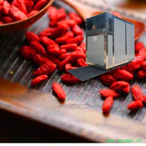 炎华剑KFX-3 I WDC 中药材烘干机图4