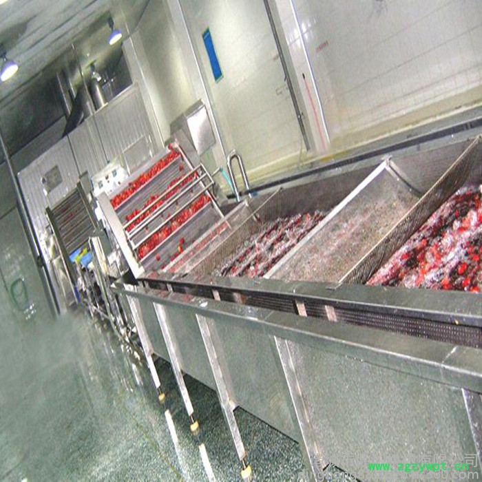 鼎鸿牌 网带式烘干机 水果干烘干机 药材多层烘干机 电加热烘干设备图3