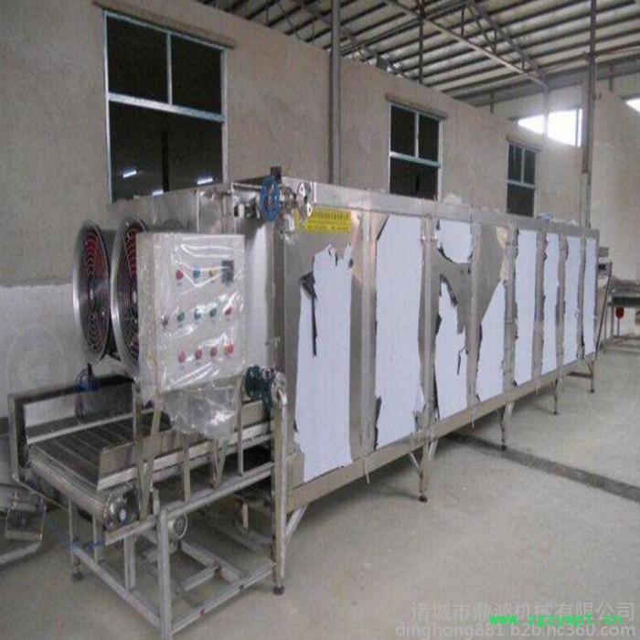 鼎鸿牌 网带式烘干机 水果干烘干机 药材多层烘干机 电加热烘干设备图5