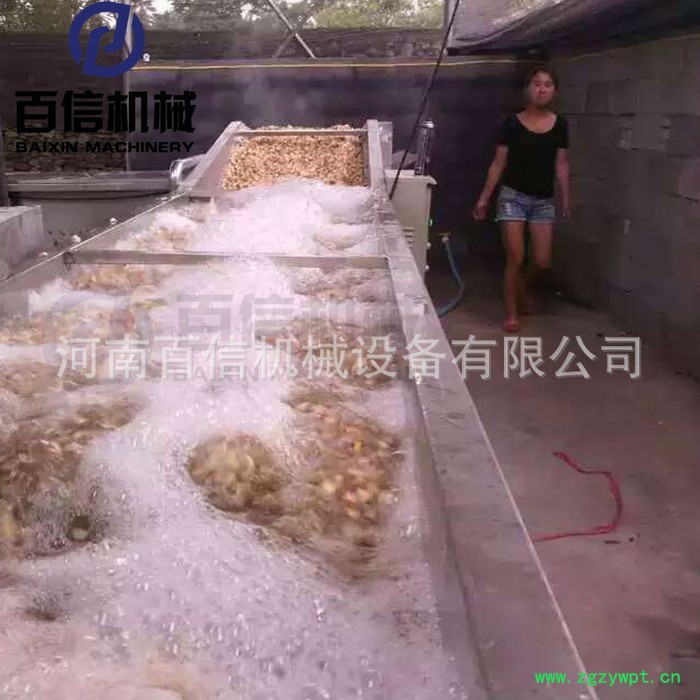 百合片烘干机 药用百合带式干燥机 百合脱瓣清洗烘干加工生产线 印刷生产线 网带式烘干机图3