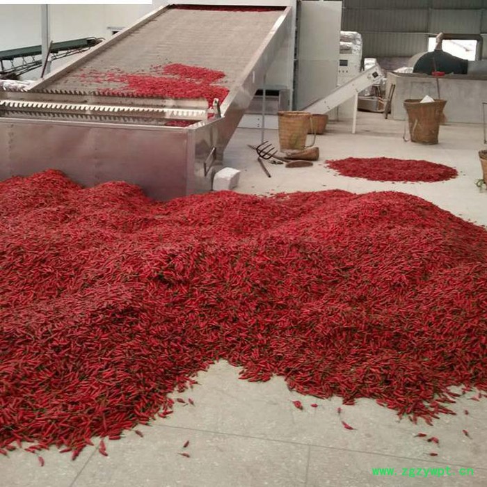 新川优创 网带式烘干机 发、食品药材干燥设备 按需定制欢迎咨询图2