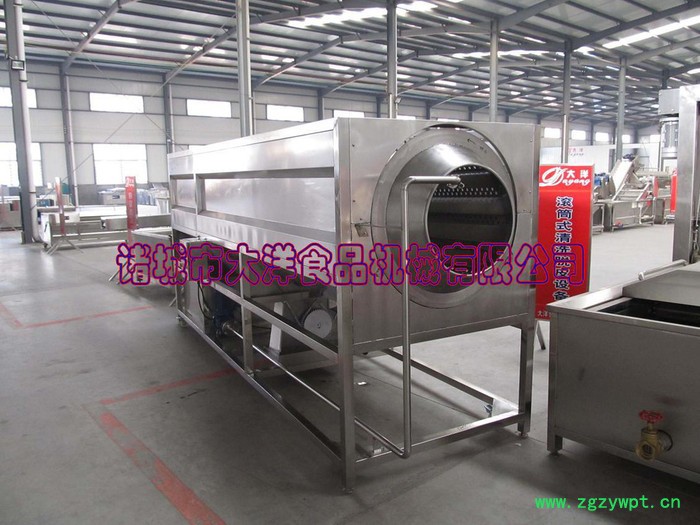 专业药材清洗机 高效滚筒清洗设备图6