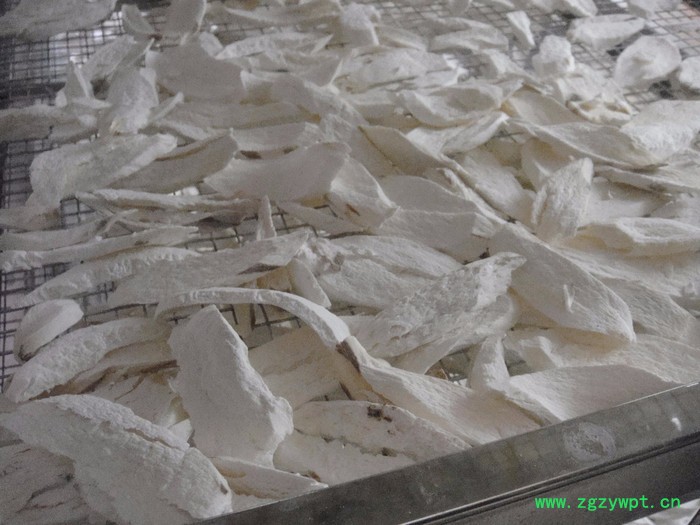 沙漠之星YD-0.5药材烘干机 农产品烘干机 水果烘干机  厂家定制