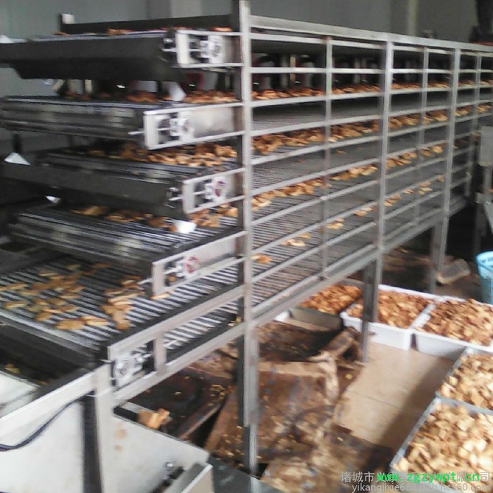 义康牌FG-6000型 药材清洗风干线 茶叶清洗沥水风干机 咸鸭蛋杀菌干燥机图5