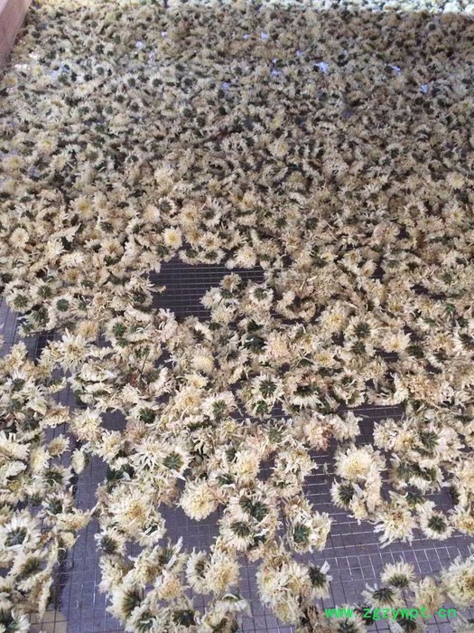 金蝉花热泵烘干机 -药材干燥设备-空气能烘干机图8