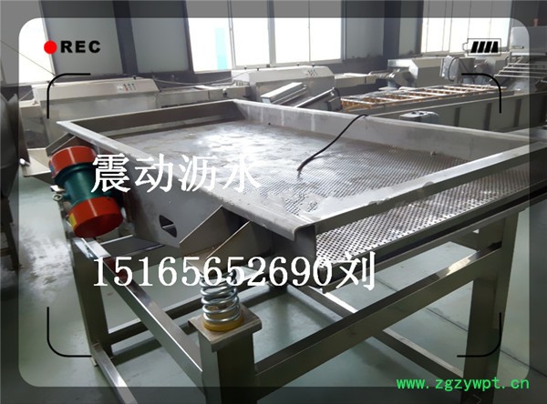 全不锈钢振动筛，食品专用振动沥水机，网带式药材振动沥水设备图2