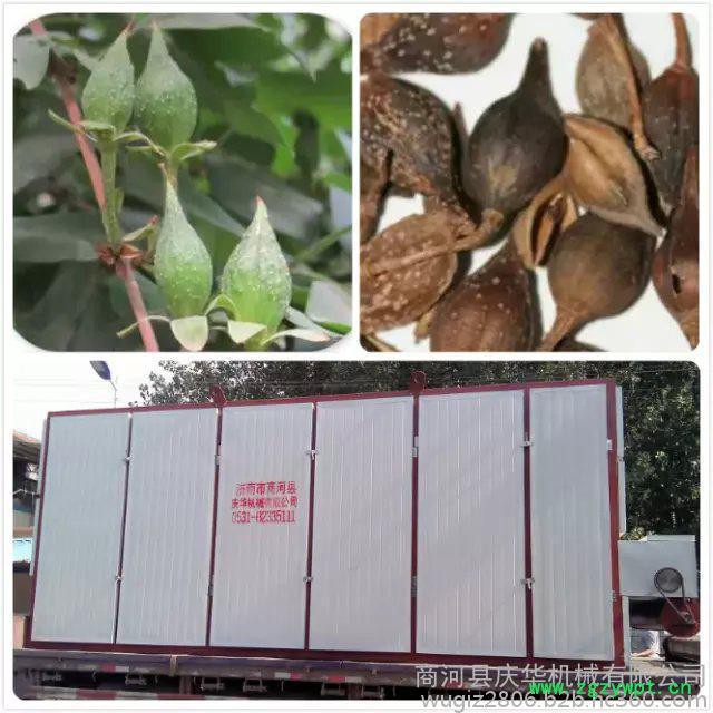 网链连翘烘干烤箱 山西连翘烘干机 中药材烘干设备厂家图3