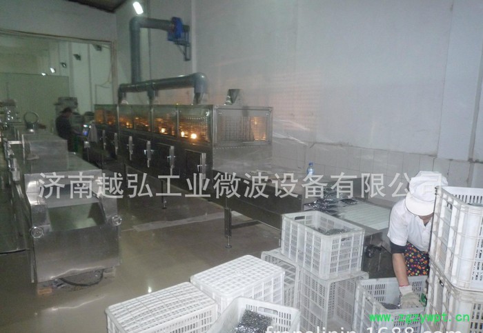 越弘YH-50kw中药饮片微波干燥设备 新型产品图2