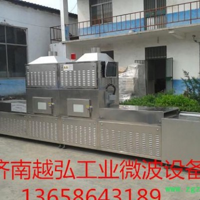 隧道式石斛微波低温干燥设备 药材微波烘干机