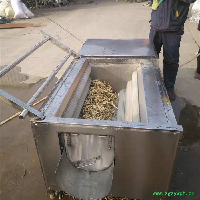 义康MQX-1500型 牛蒡毛棍清洗机 红景天清洗机 药材毛棍清洗设备图2