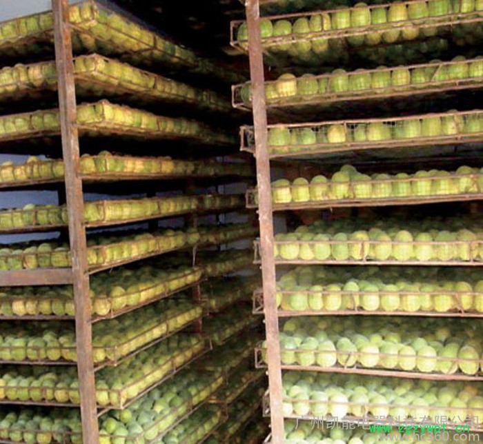 罗汉果烘干机 广西罗汉果烘干设备 中药材罗汉果干燥机图3