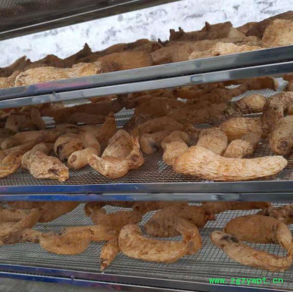 分体式天麻烘干机 空气能中药材天麻热泵烘干设备图5