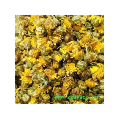 小型茶叶烘干机 茶叶脱水干燥机 中药饮片烘干箱 茶叶烘干房 厂家腾龙重工ZCM