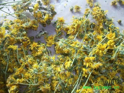 小型茶叶烘干机 茶叶脱水干燥机 中药饮片烘干箱 茶叶烘干房 厂家腾龙重工ZCM图2