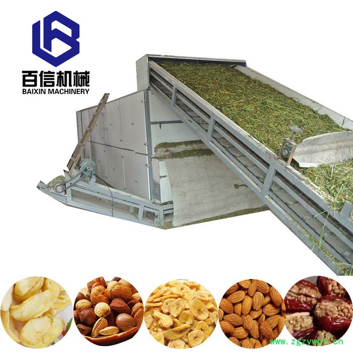 金银花烘干机 中草药带式干燥机 连续式金银花烘干设备图4