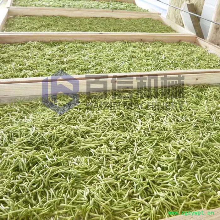 金银花烘干机 中草药带式干燥机 连续式金银花烘干设备图5