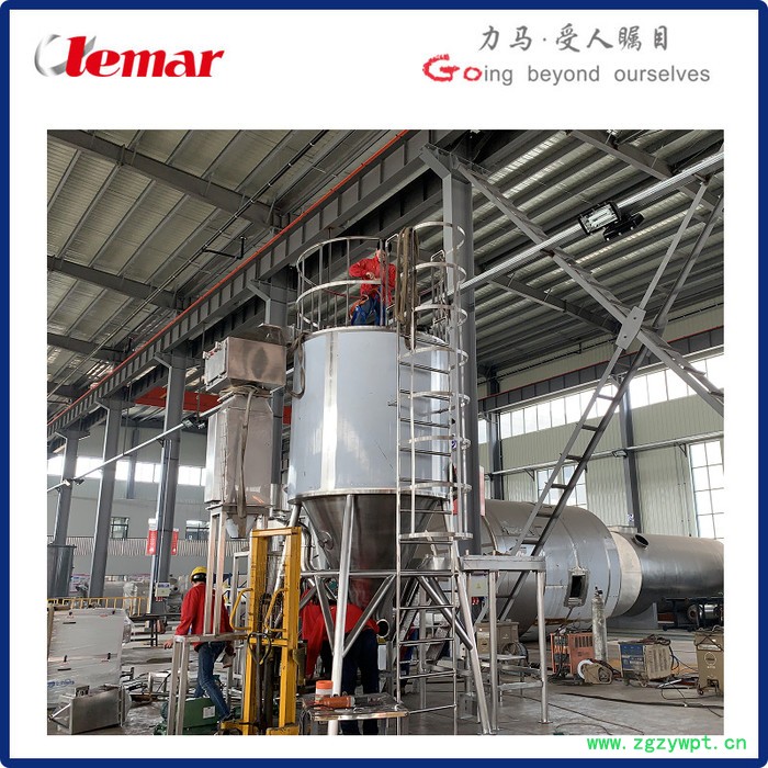 常州力马-200kg/h化药喷雾干燥设备、高速离心喷雾干燥机生产厂家图3
