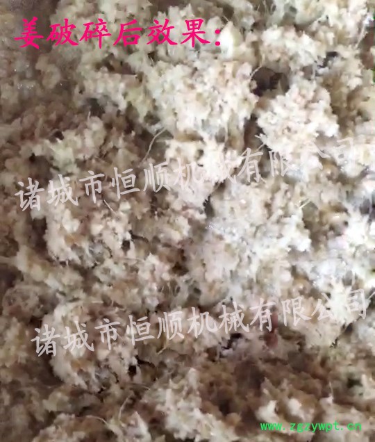 中药、中药渣粉碎设备 大姜、黄姜、圣女果粉碎设备 大姜快速粉碎机图5