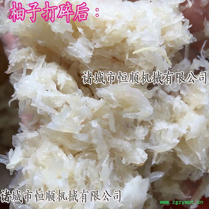 中药、中药渣粉碎设备 大姜、黄姜、圣女果粉碎设备 大姜快速粉碎机图2