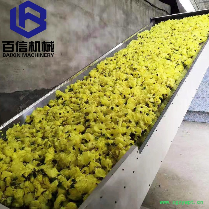 河南百信陈皮干燥机 连续式网带中药材烘干设备 陈皮加工生产线图4