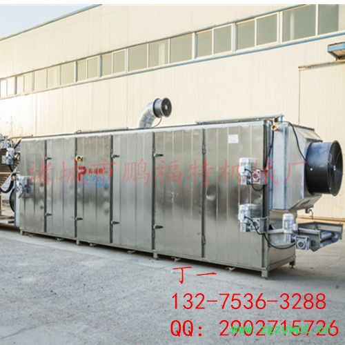 鹏福特菊花烘干机 中药材烘干机  辣椒烘干机图2