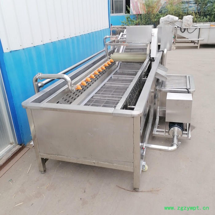 众惠80-14 人参清洗烘干线  304不锈钢药草冲洗机  药材气泡清洗机    食品喷淋式清洗设备图3