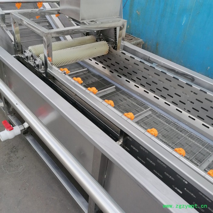 众惠80-14 人参清洗烘干线  304不锈钢药草冲洗机  药材气泡清洗机    食品喷淋式清洗设备图4