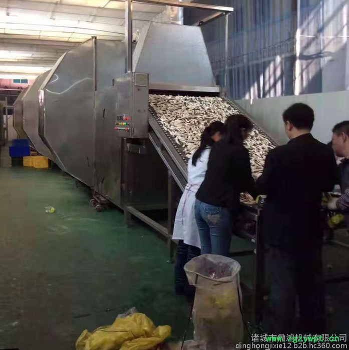 鼎鸿牌HG-4/3型银耳烘干机 香菇干燥设备 脱水蔬菜烘干线 柠檬烘干机 枸杞烘干流水线 网带输送烘干线 药材烘干机图8