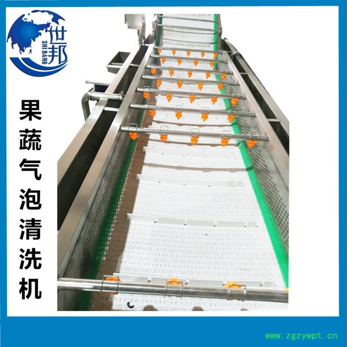 蓝莓气泡清洗机 大型果蔬臭氧杀菌清洗设备 中药材毛豆气泡清洗机图6