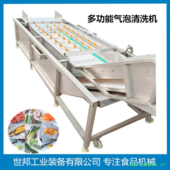蓝莓气泡清洗机 大型果蔬臭氧杀菌清洗设备 中药材毛豆气泡清洗机图7