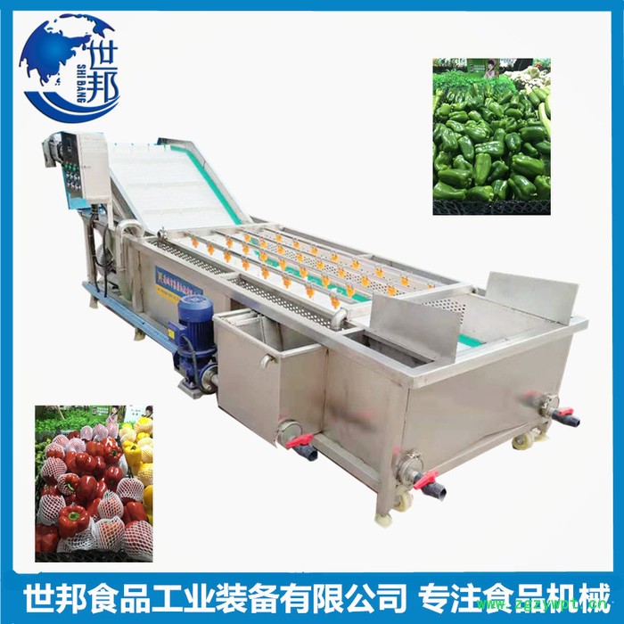 蓝莓气泡清洗机 大型果蔬臭氧杀菌清洗设备 中药材毛豆气泡清洗机图5