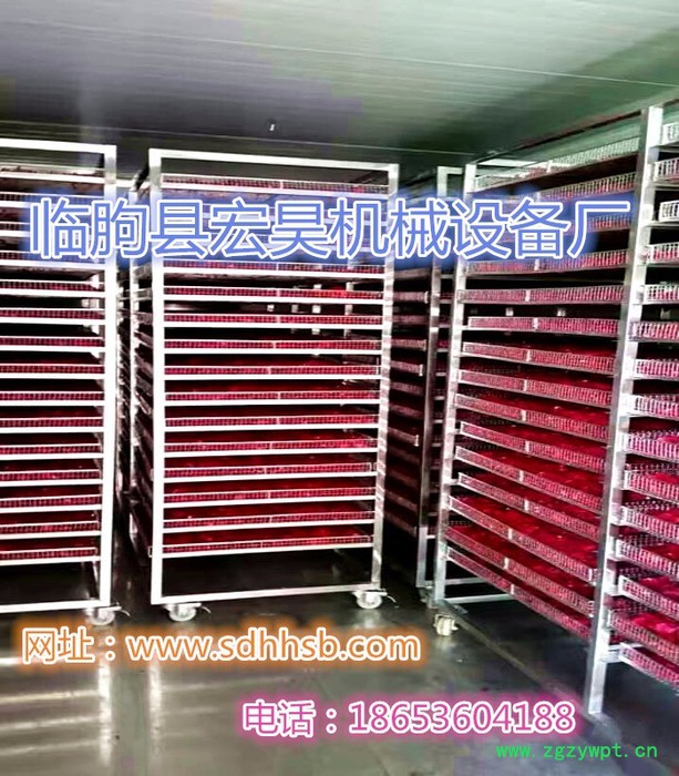 宏昊HH-500 菊花烘干机 玫瑰花烘干箱 药材烘干设备 欢迎定制加工图4