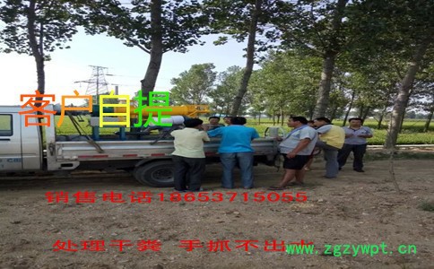 弘景LGF-X酒糟药渣脱水机|豆渣脱水机|纸浆脱水机 鸡粪烘干机图4