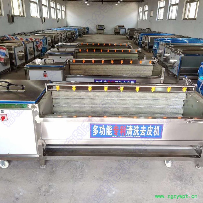 土豆去皮清洗机供应 水果清洗设备 中药材清洗去泥机图2
