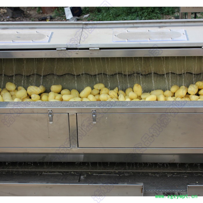土豆去皮清洗机供应 水果清洗设备 中药材清洗去泥机图3