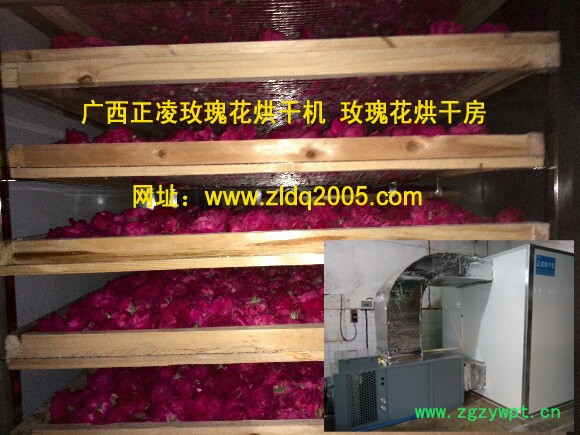 贵州药材天冬烘干机图3