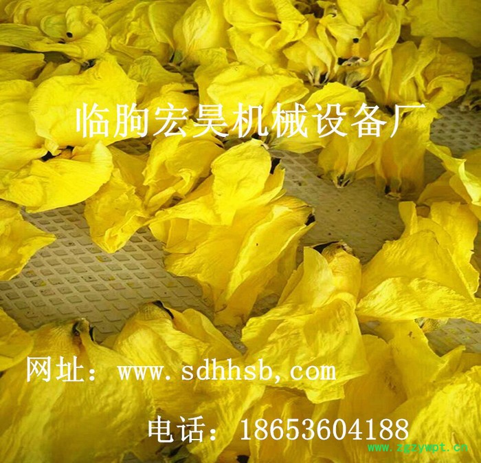 宏昊HH-100 菊花烘干机 中草药专业烘干设备 高质量 价格便宜 欢迎定制加工图7